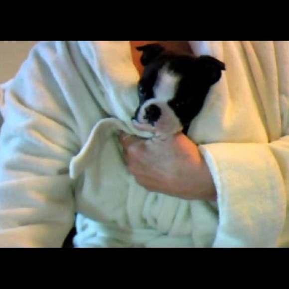 My fur babies and others. Lol. - Picture 9 of 15